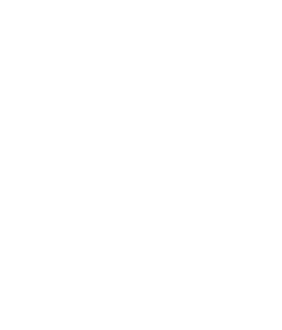 NikBin Studio